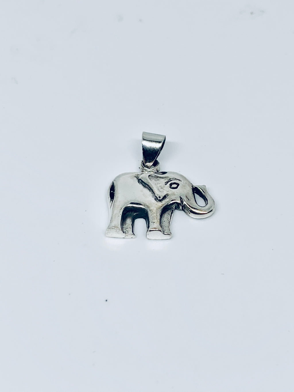 Specialty pendants/charms