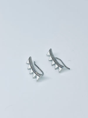 Sterling silver earrings